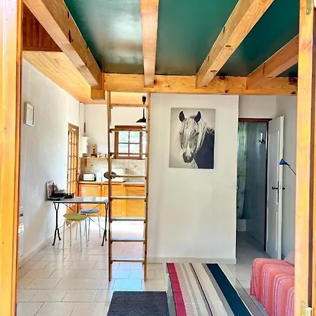 25 M² Avec Mezzanine Et Piscine Tilh