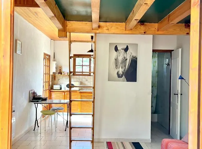 25 M² Avec Mezzanine Et Piscine Tilh